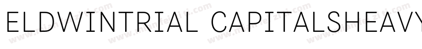 EldwinTrial CapitalsHeavyttf字体转换